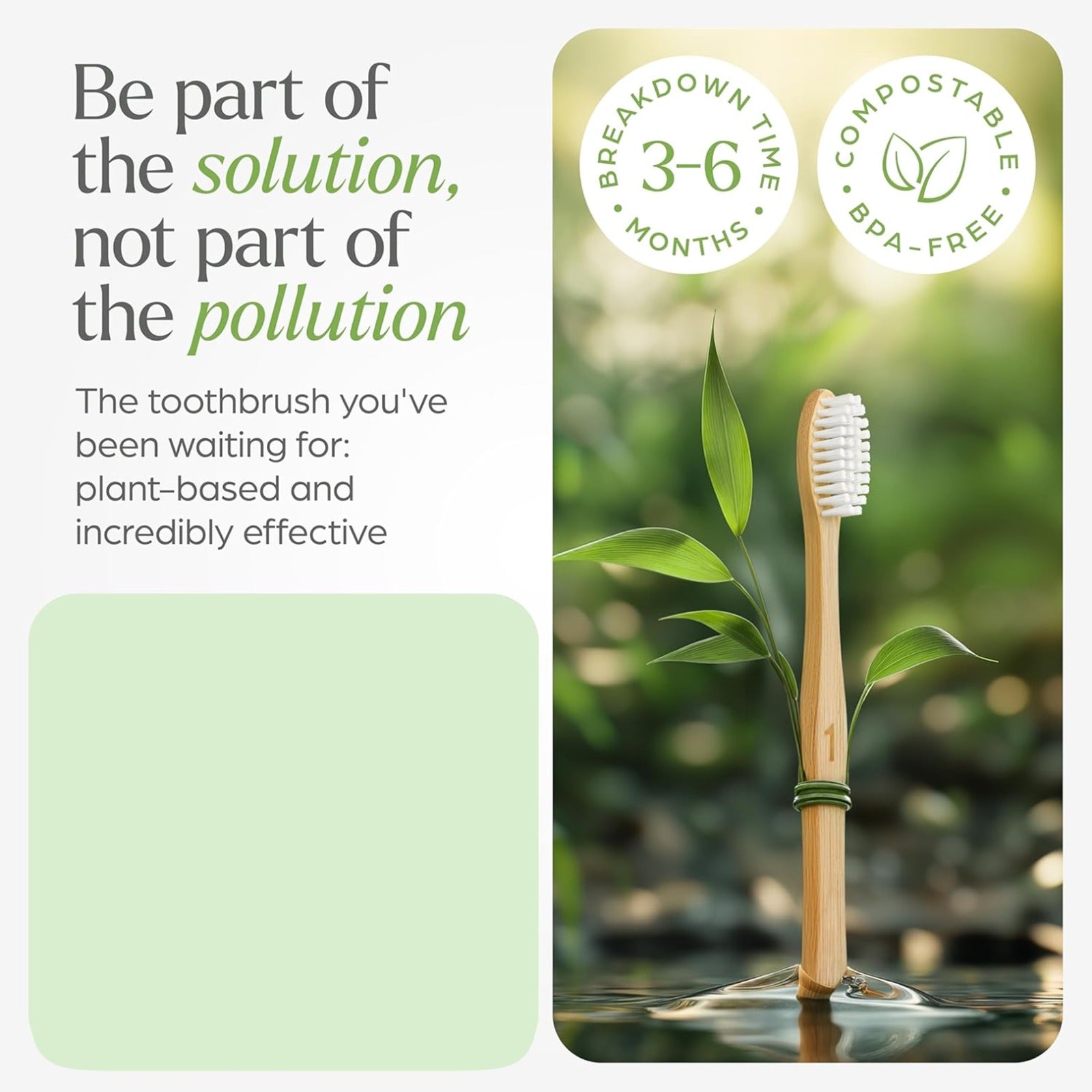 Eco-Friendly Natural Bamboo Toothbrush with Medium Bristles (2 Pc) signaturekarts
