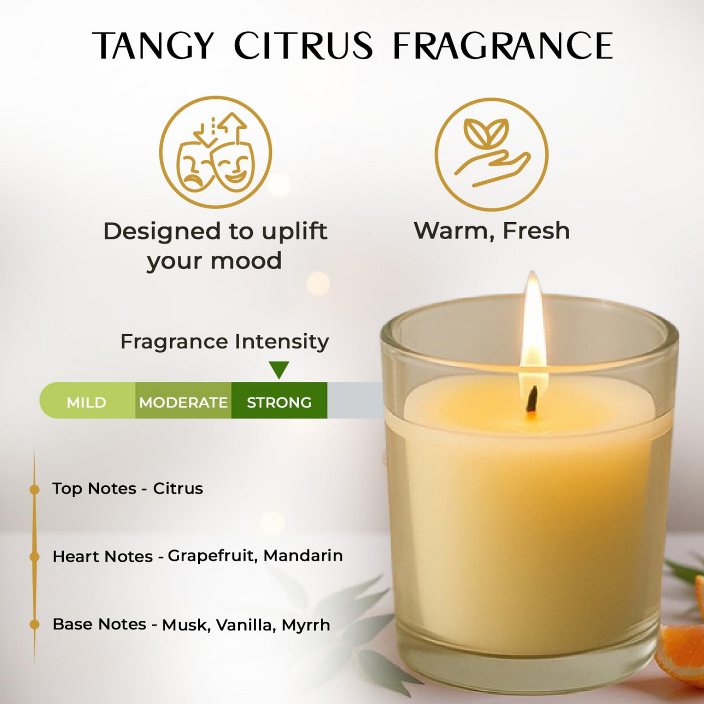 In'lief  Blueberry Soy-Blend Votive Candle Glass – 50 gm (1 Pc) signaturekarts