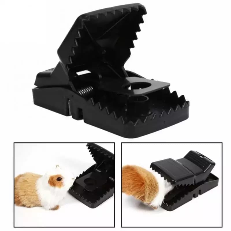 Mouse Trap Cage with Dummy Mouse – Reusable Pest Control for Home & Office (1 Pc) signaturekarts