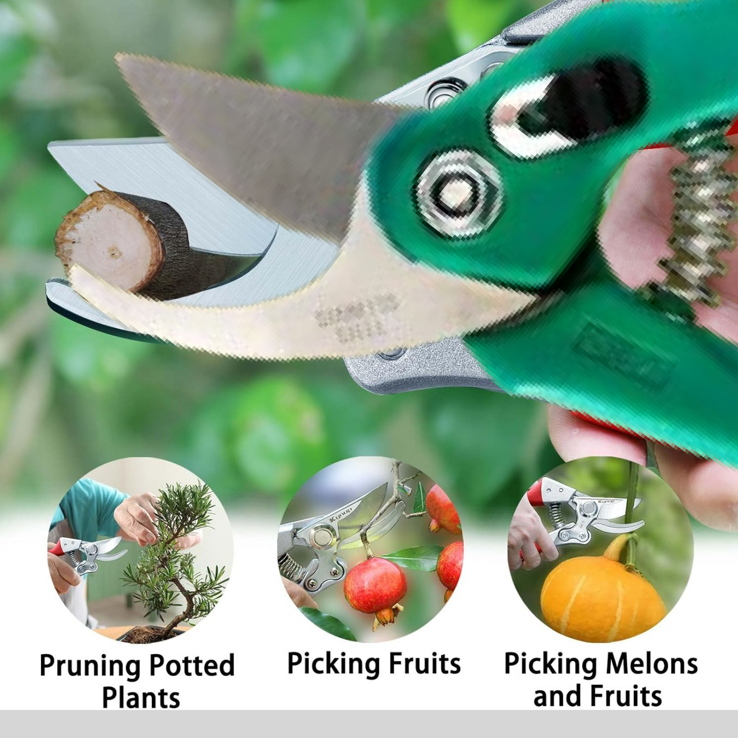 Stainless Steel Garden Scissors, flower cutter signaturekarts