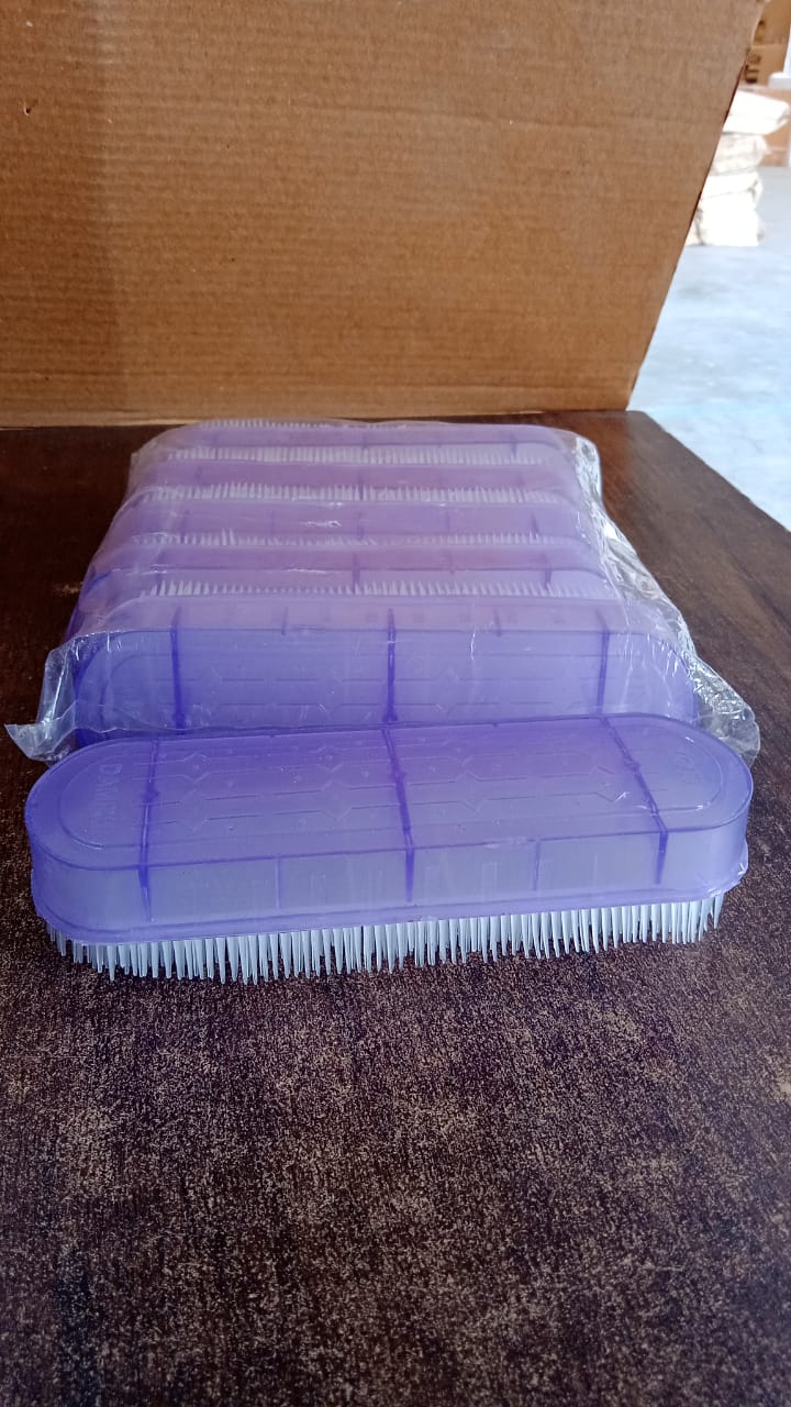 Multipurpose Plastic Handle Laundry Brush (1 Pc) Signature Kart