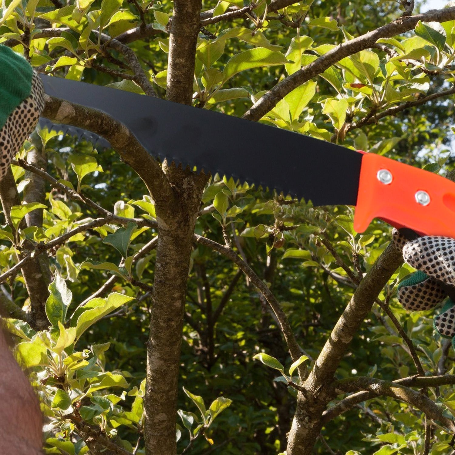 Hand Pruning Saw for Tree Branch Cutter (1 Pc) signaturekarts