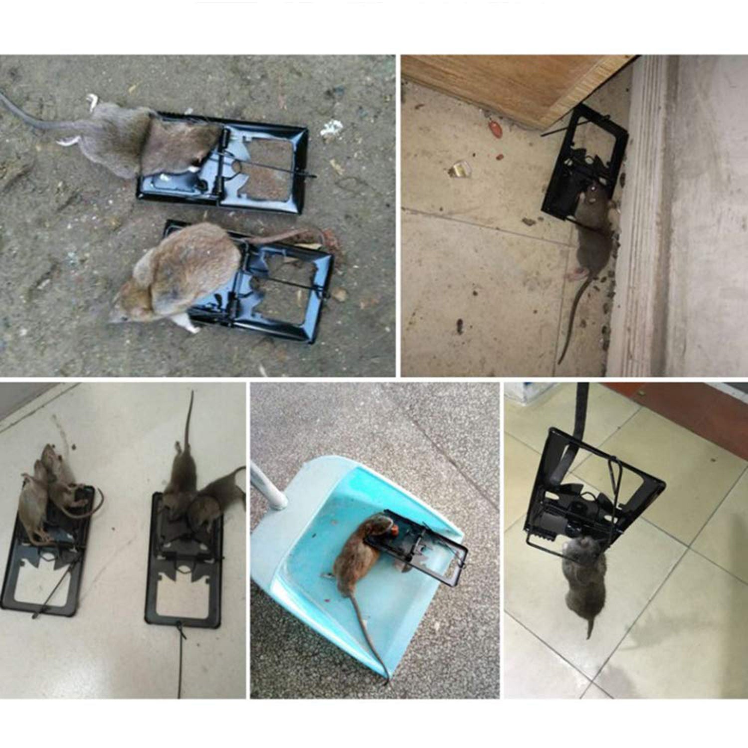 Mouse Trap Catcher Rodent Traps Mice Control Mice Snap Kill Trap (2 Pc) Signature kart