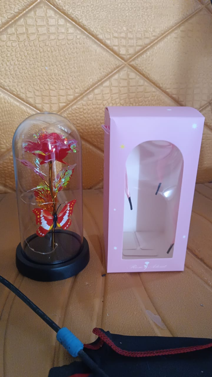 Elegant LED Eternal Rose in Plastic Dome (1 Pc / Battery Not included) Signature kart