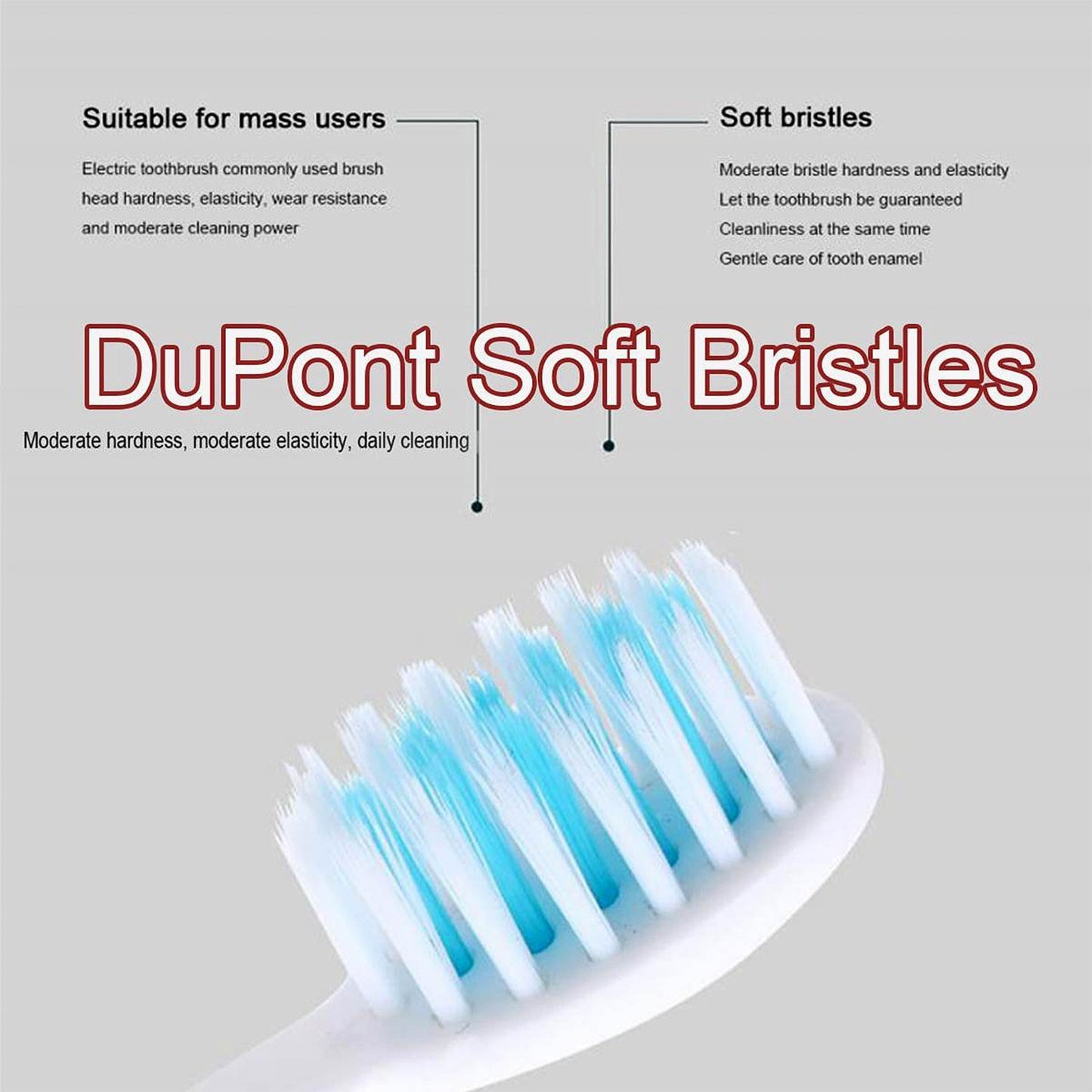 Rechargeable Electric Toothbrush Set The Morsignaturekarts