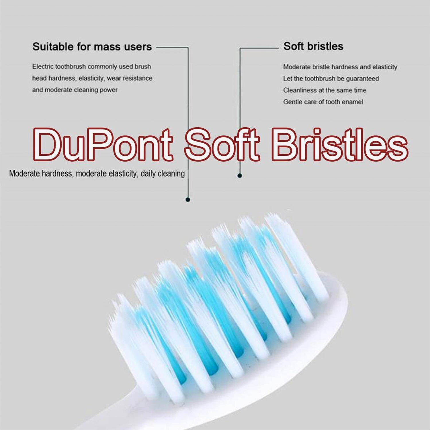Rechargeable Electric Toothbrush Set The Morsignaturekarts