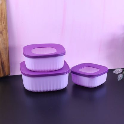 Premium 3 Piece Food Storage Container Set The Morsignaturekarts