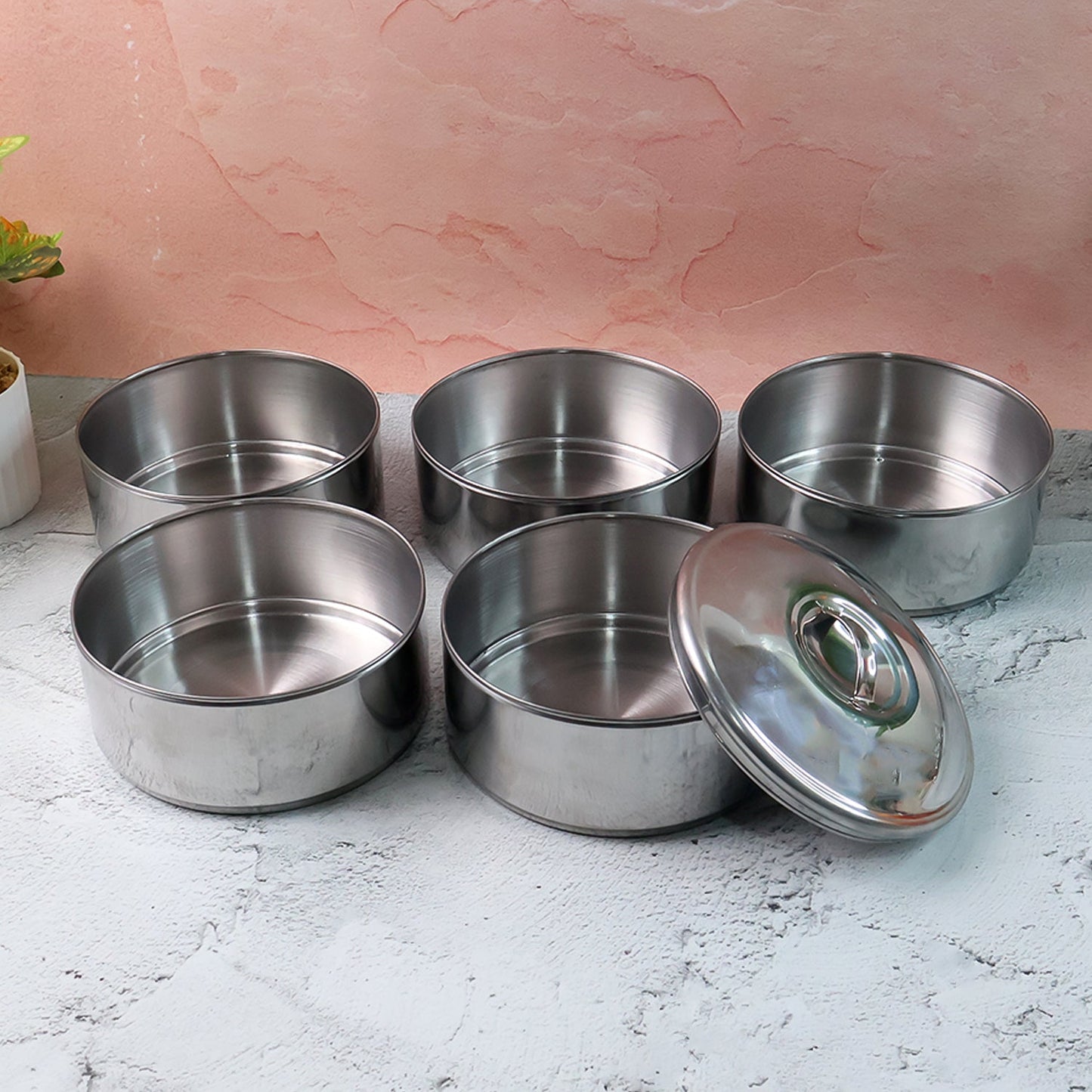 5 Compartment Lunch Box (Stainless Steel): Round Tiffin, Leakproof (16x5") signaturekarts