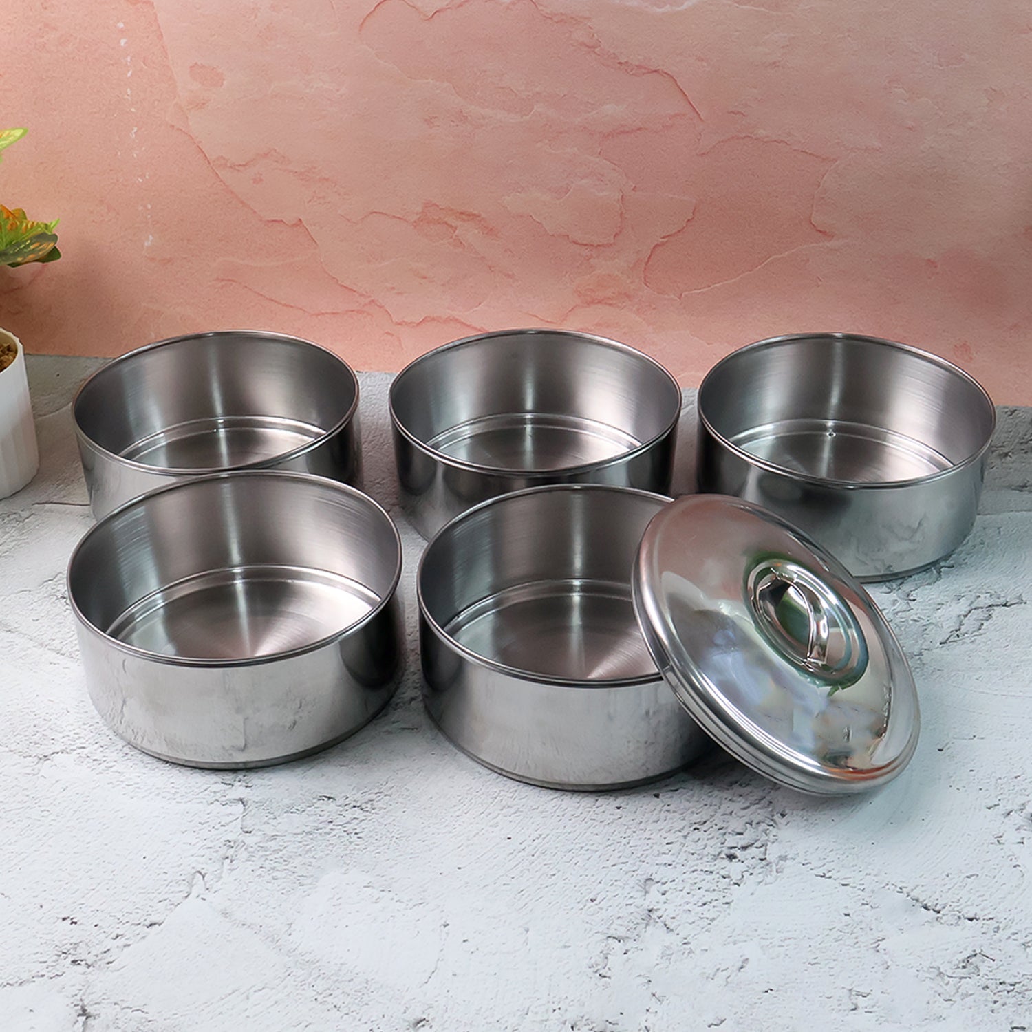 5 Compartment Lunch Box (Stainless Steel): Round Tiffin, Leakproof (16x5") signaturekarts