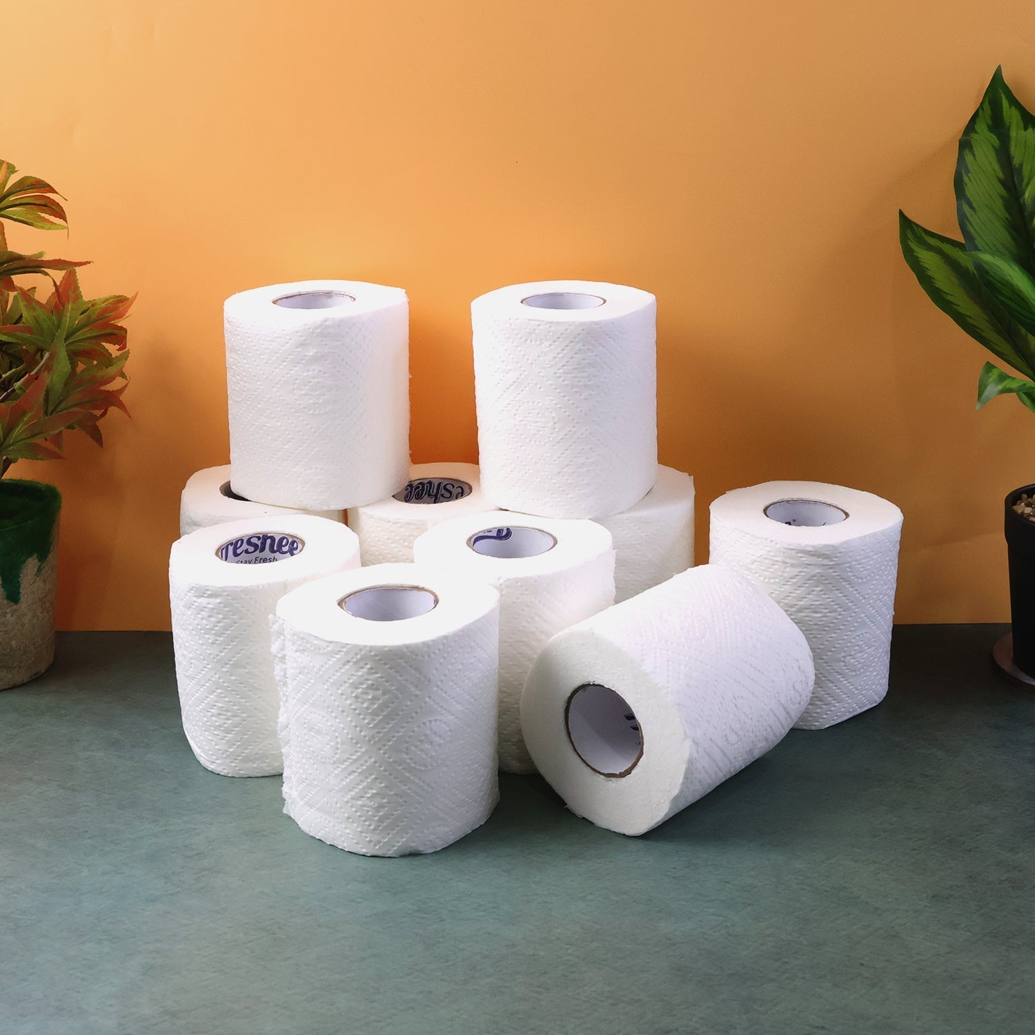 Toilet Tissue Rolls – Soft Embossed Bathroom Tissue, 220 Sheets × 10 Rolls signaturekarts
