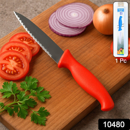 Stainless Steel Serrated Kitchen Knife (1 Pc) Signature Kart