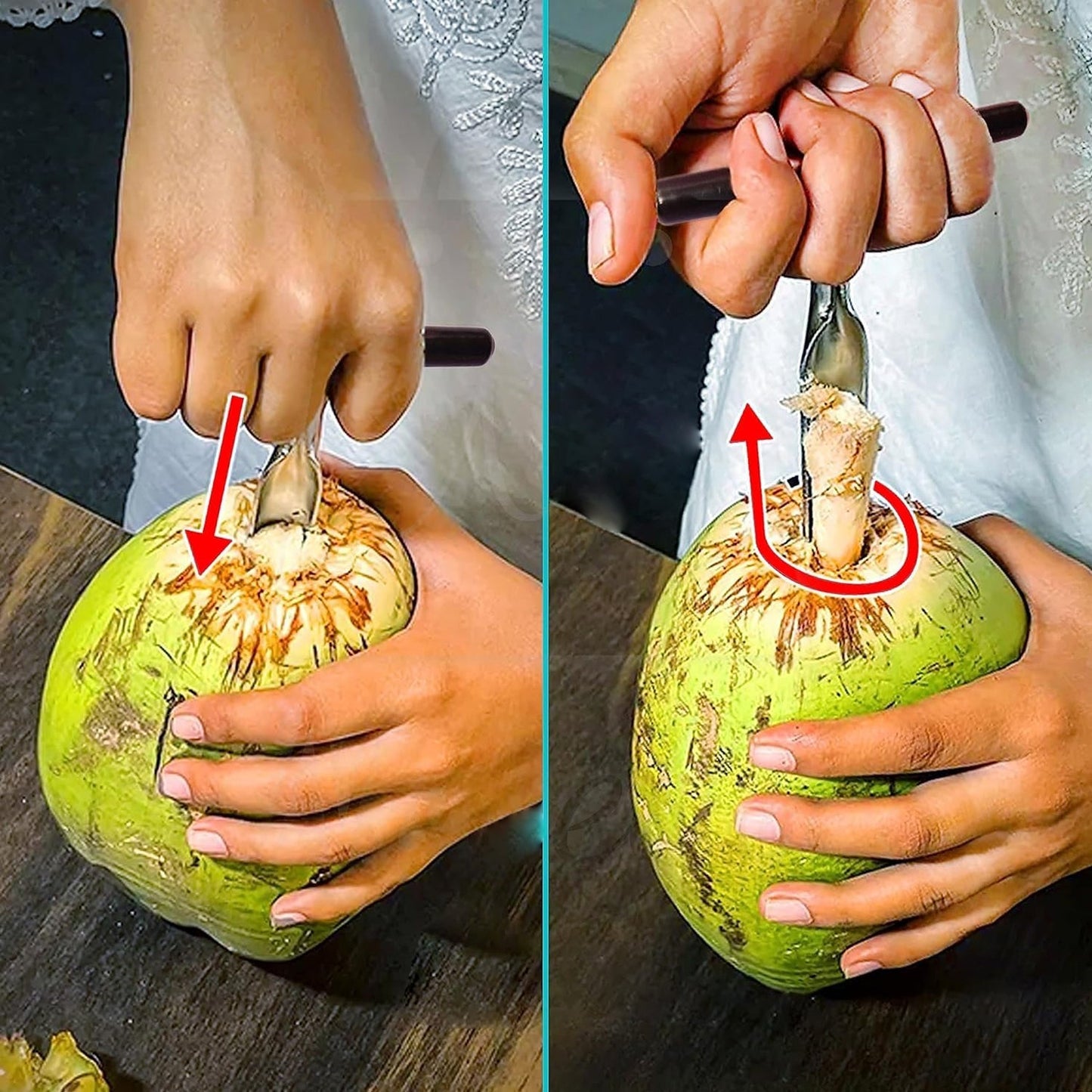 Stainless Steel Coconut Breaker Tool with Comfortable T-Handle (1 Pc) signaturekarts