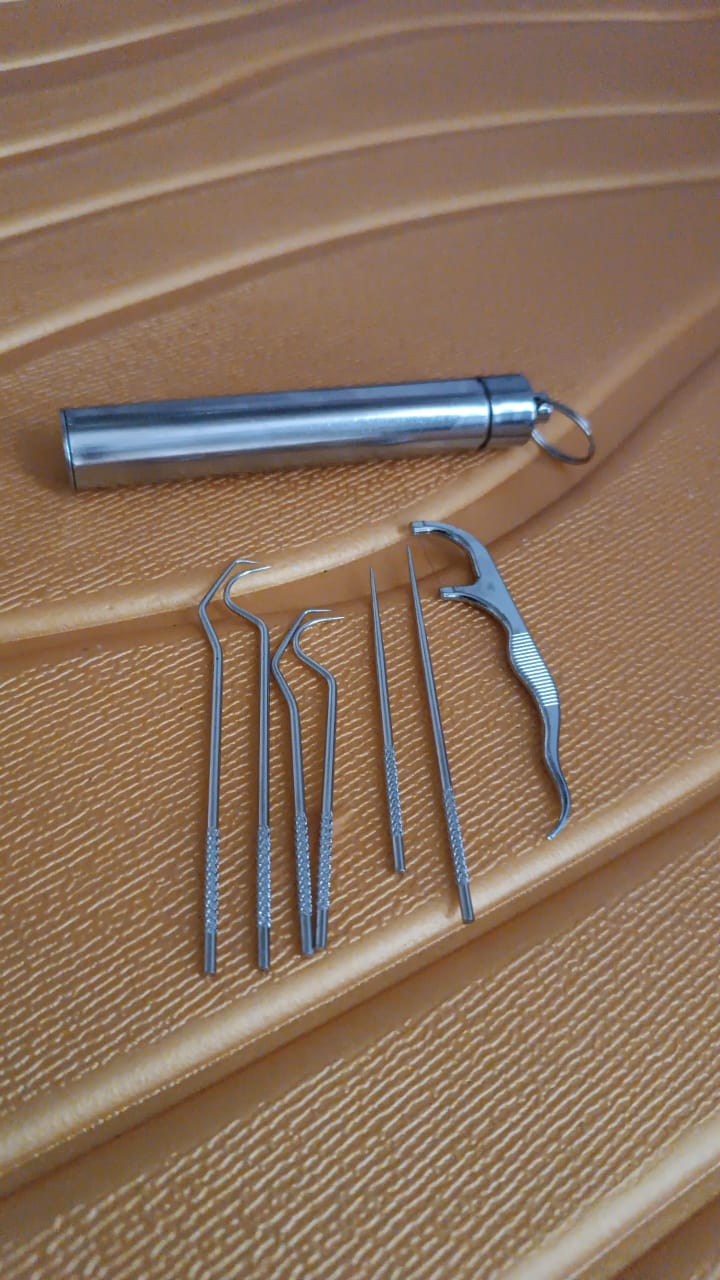 7 IN 1 STAINLESS STEEL TOOTHPICK FLOSSIER SET (1 SET / With Case) Signaturekarts