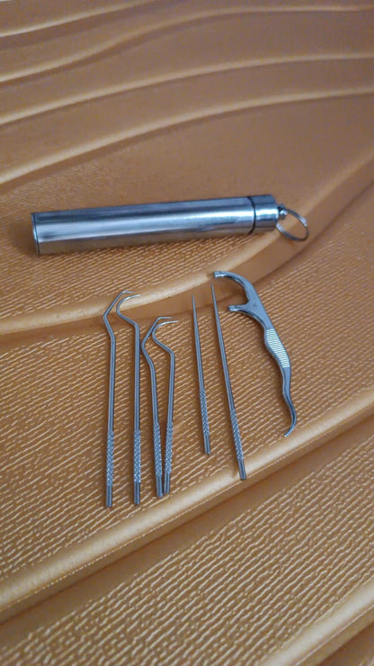 7 IN 1 STAINLESS STEEL TOOTHPICK FLOSSIER SET (1 SET / With Case) Signaturekarts