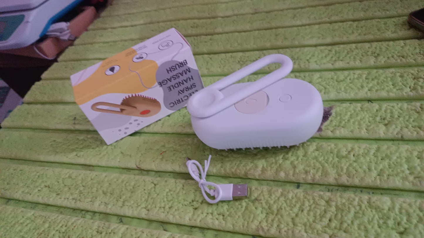 Electric Spray Handle Massage Brush, Hair Removal Brush Steam (1 Pc) Signaturekarts