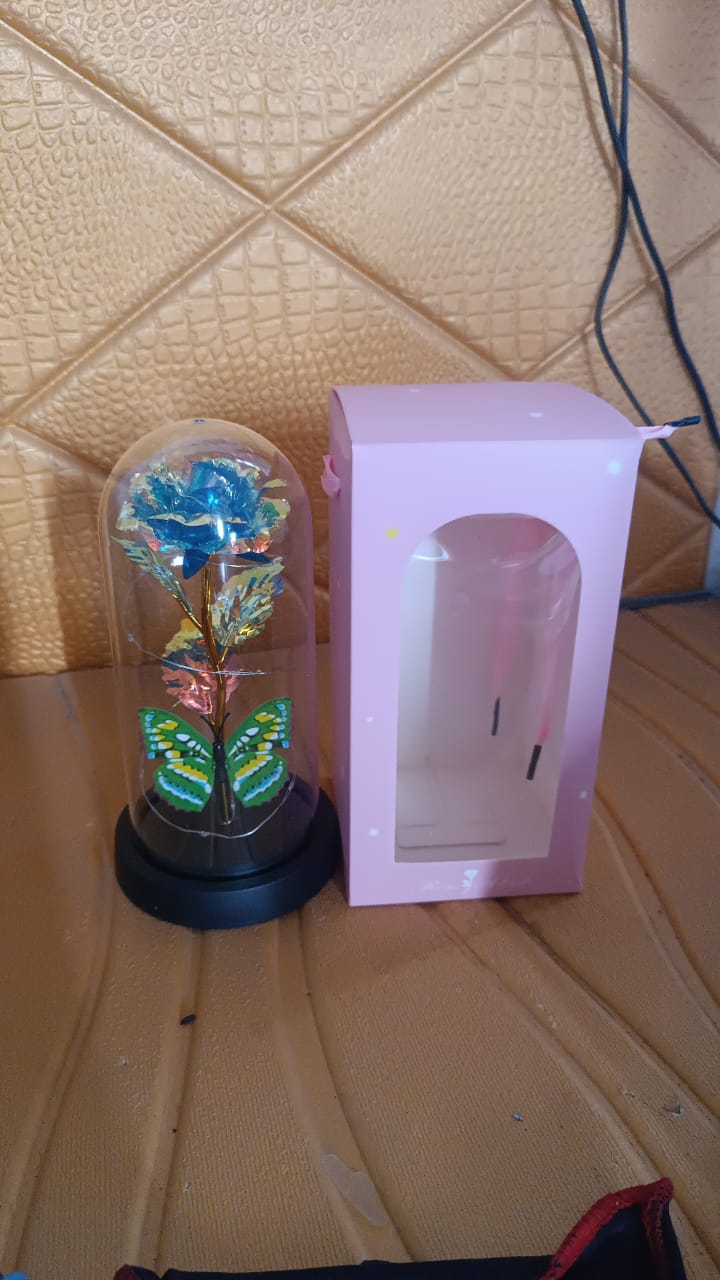 LED-Powered Eternal Rose in plastic Dome (1 Pc / Battery not Included) Signature kart